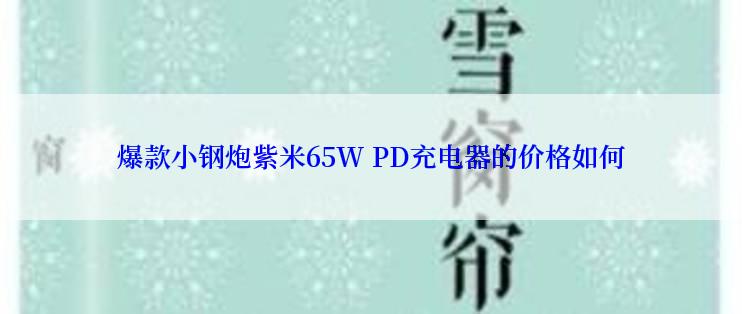 爆款小钢炮紫米65W PD充电器的价格如何