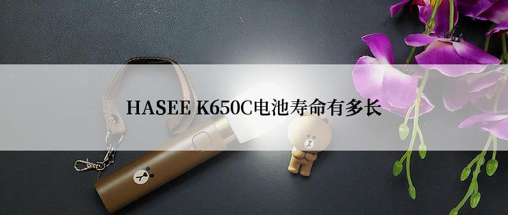 HASEE K650C电池寿命有多长