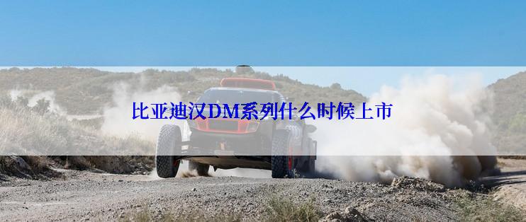 比亚迪汉DM系列什么时候上市