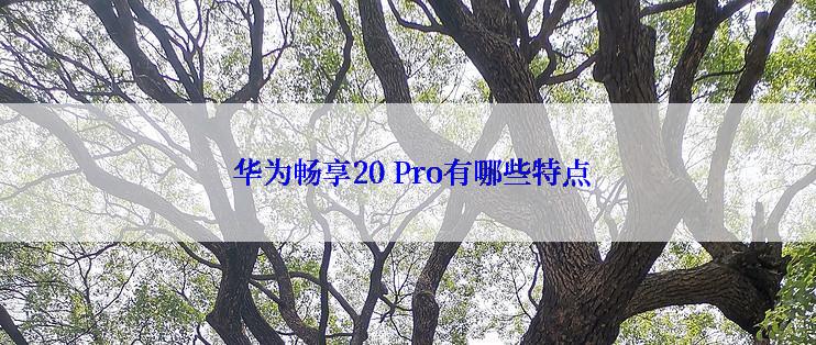  华为畅享20 Pro有哪些特点