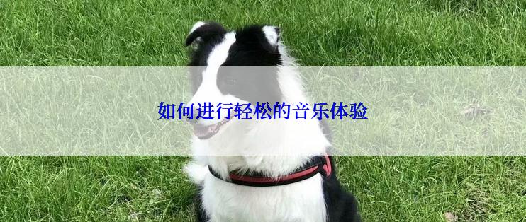 如何进行轻松的音乐体验