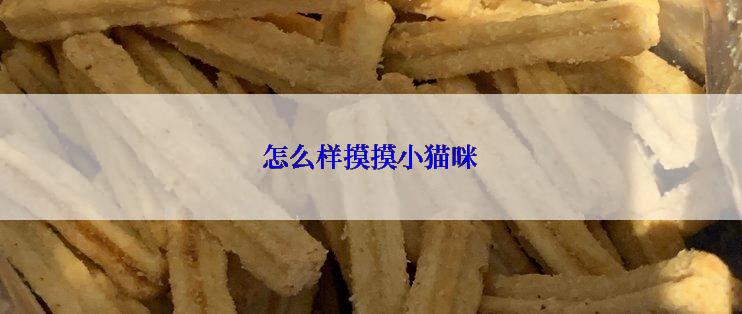 怎么样摸摸小猫咪