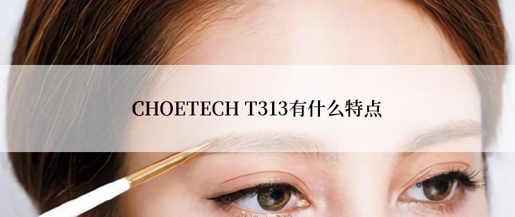 CHOETECH T313有什么特点