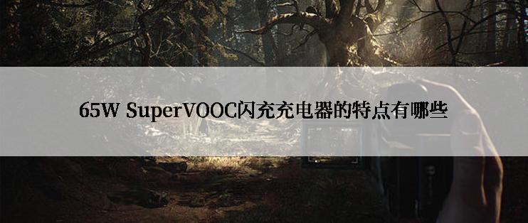 65W SuperVOOC闪充充电器的特点有哪些