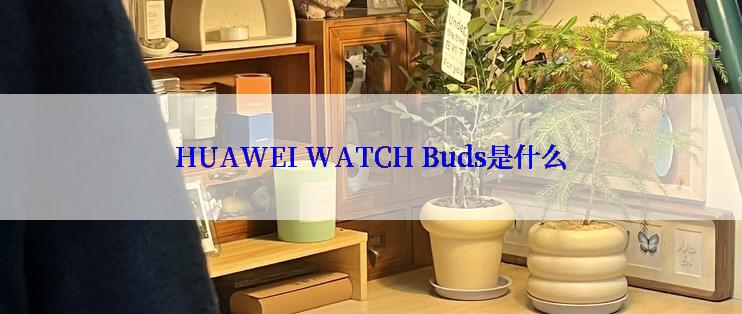 HUAWEI WATCH Buds是什么