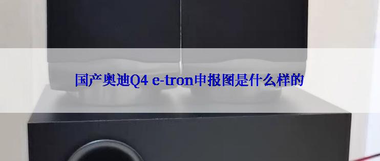 国产奥迪Q4 e-tron申报图是什么样的