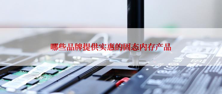 哪些品牌提供实惠的固态内存产品