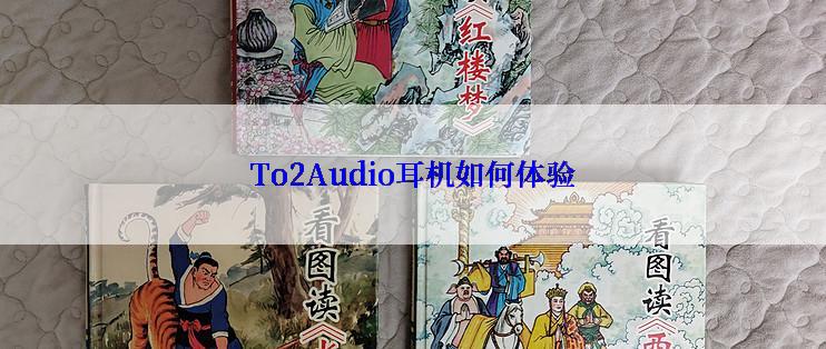 To2Audio耳机如何体验