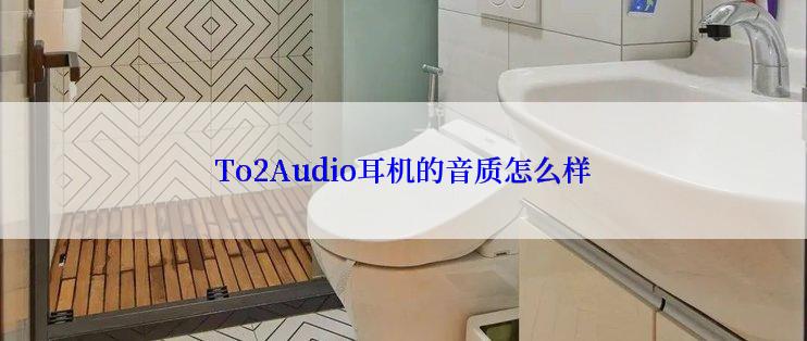 To2Audio耳机的音质怎么样