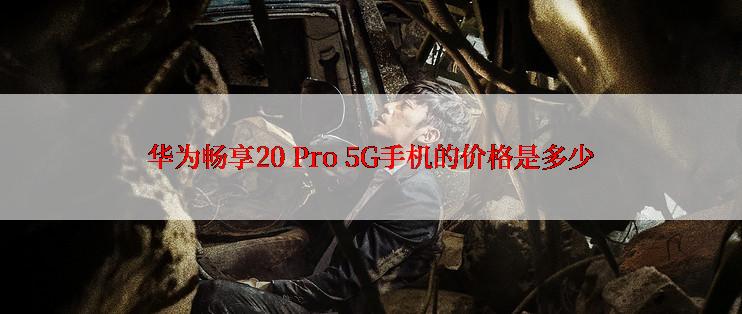 华为畅享20 Pro 5G手机的价格是多少