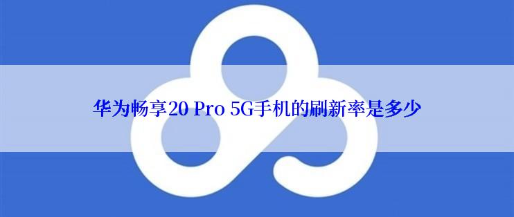 华为畅享20 Pro 5G手机的刷新率是多少