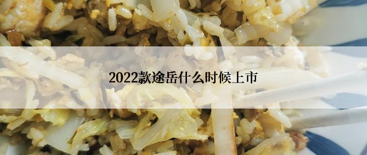 2022款途岳什么时候上市