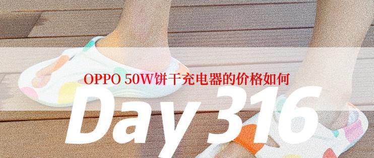 OPPO 50W饼干充电器的价格如何