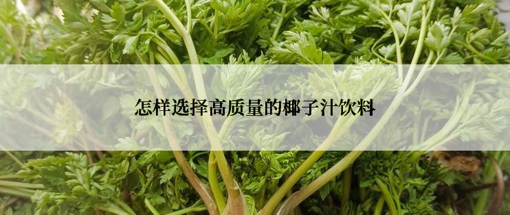 怎样选择高质量的椰子汁饮料