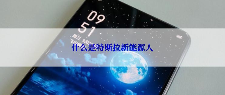 什么是特斯拉新能源人