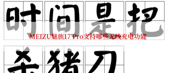  MEIZU魅族17 Pro支持哪些无线充电功能