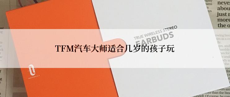 TFM汽车大师适合几岁的孩子玩