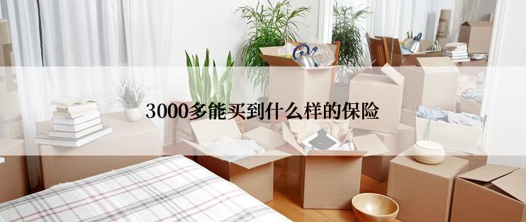 3000多能买到什么样的保险