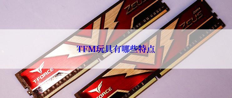 TFM玩具有哪些特点