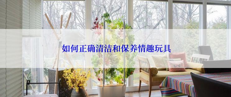  如何正确清洁和保养情趣玩具