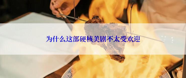 为什么这部硬核美剧不太受欢迎