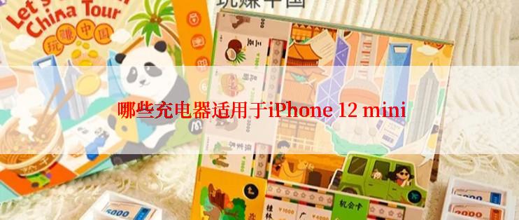  哪些充电器适用于iPhone 12 mini