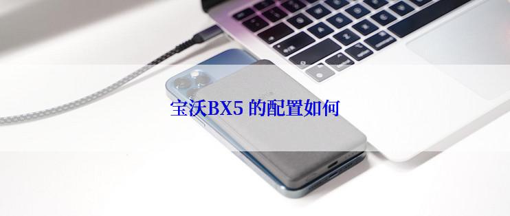 宝沃BX5 的配置如何