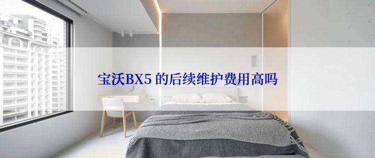 宝沃BX5 的后续维护费用高吗