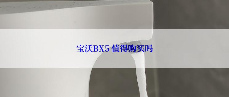 宝沃BX5 值得购买吗