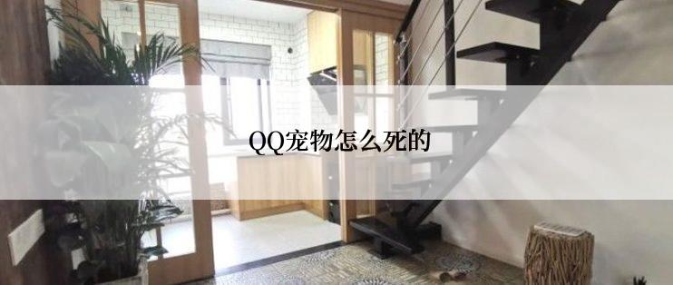  QQ宠物怎么死的