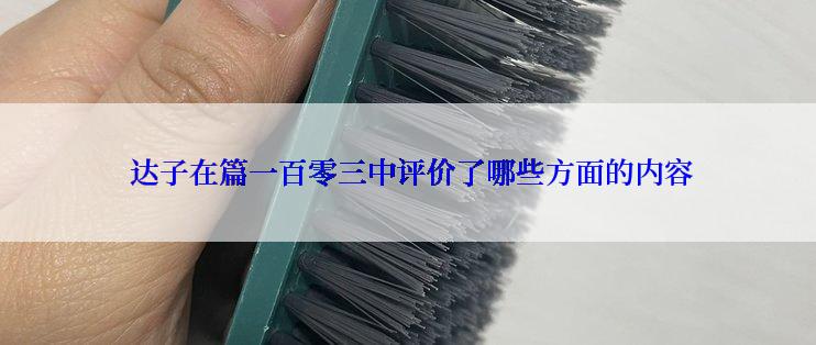  达子在篇一百零三中评价了哪些方面的内容