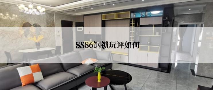  SS86钢锁玩评如何