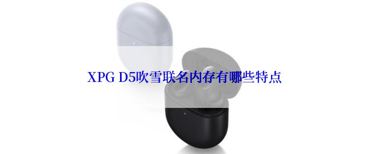  XPG D5吹雪联名内存有哪些特点