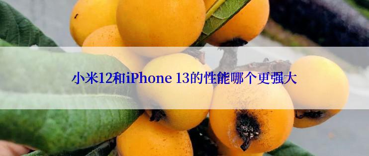 小米12和iPhone 13的性能哪个更强大