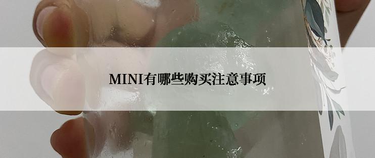 MINI有哪些购买注意事项