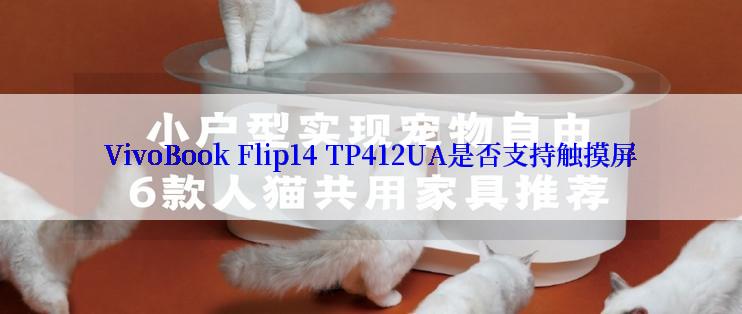 VivoBook Flip14 TP412UA是否支持触摸屏