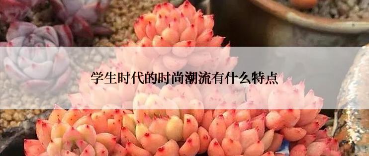 学生时代的时尚潮流有什么特点