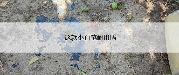  这款小白笔耐用吗