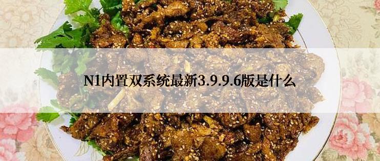 N1内置双系统最新3.9.9.6版是什么