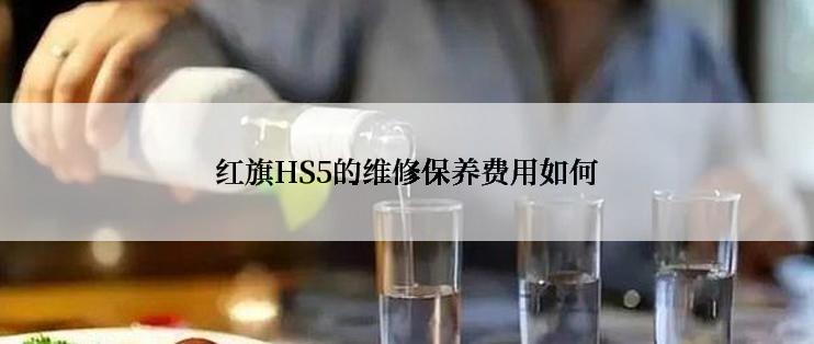 红旗HS5的维修保养费用如何