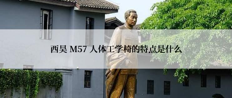 西昊 M57 人体工学椅的特点是什么