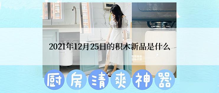 2021年12月25日的积木新品是什么