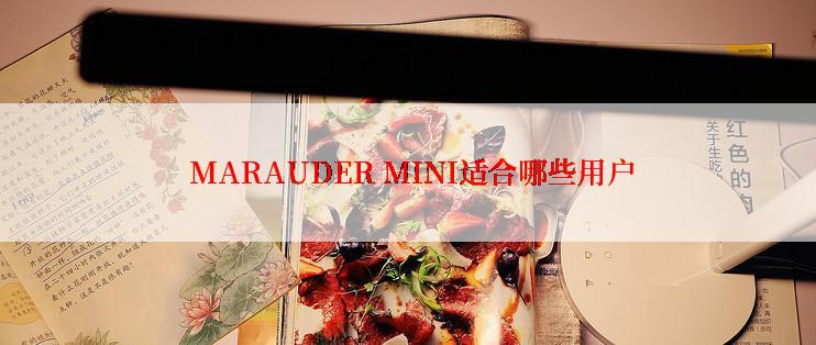  MARAUDER MINI适合哪些用户