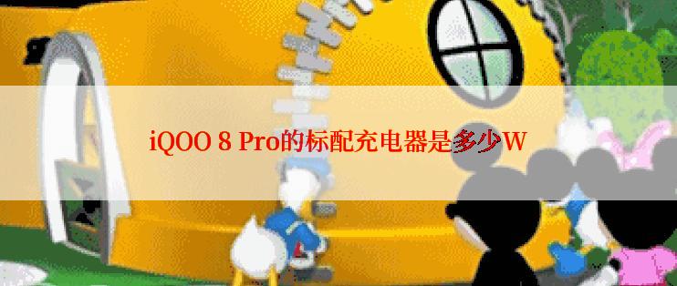 iQOO 8 Pro的标配充电器是多少W