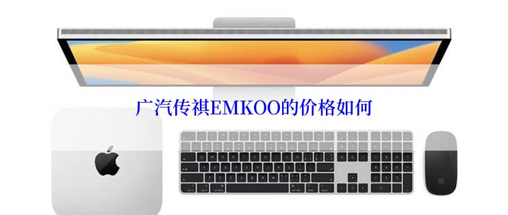 广汽传祺EMKOO的价格如何