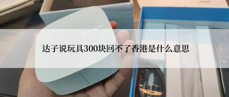  达子说玩具300块回不了香港是什么意思