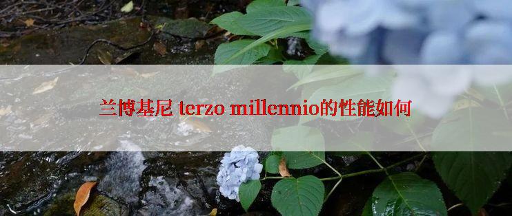 兰博基尼 terzo millennio的性能如何