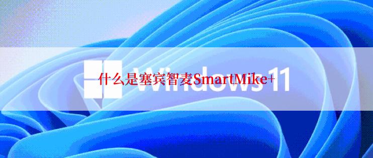 什么是塞宾智麦SmartMike+