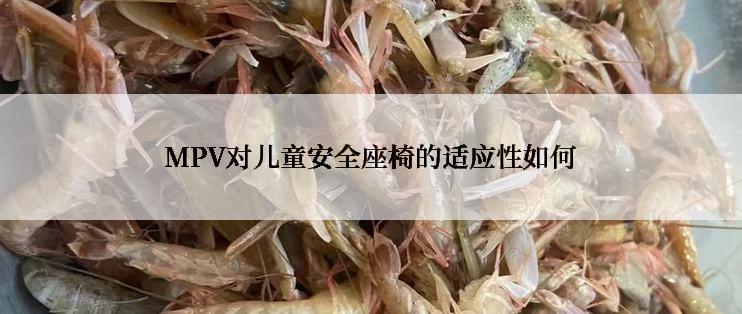 MPV对儿童安全座椅的适应性如何