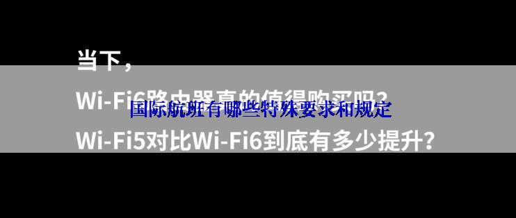  国际航班有哪些特殊要求和规定